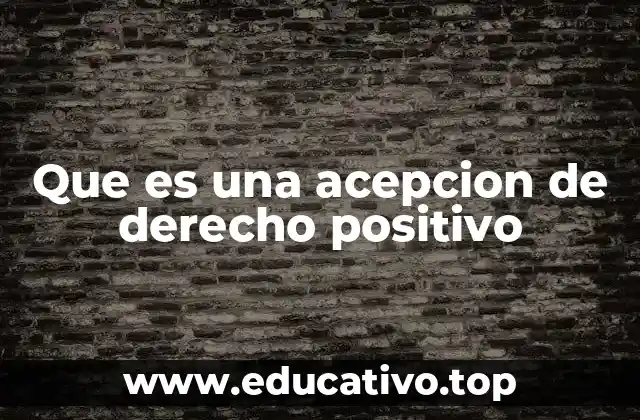 Las diferentes interpretaciones del derecho positivo