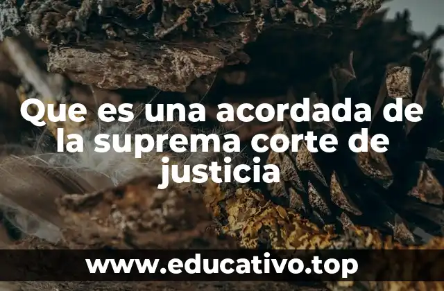 Que es una acordada de la suprema corte de justicia