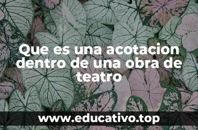 Que es una acotacion dentro de una obra de teatro