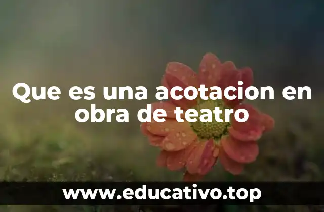 Que es una acotacion en obra de teatro