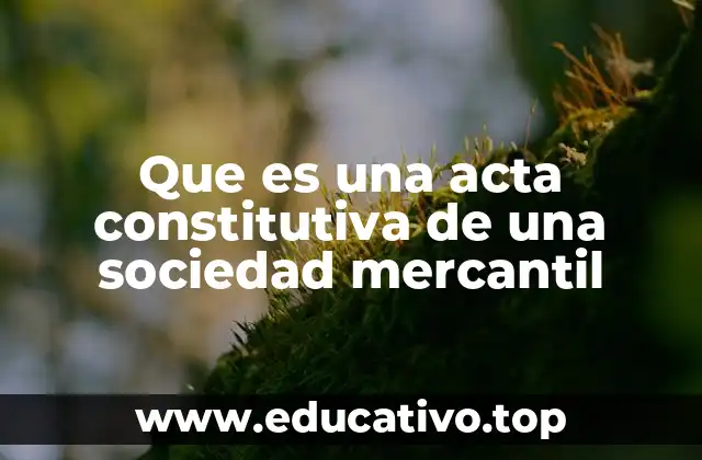 Que es una acta constitutiva de una sociedad mercantil