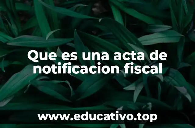 Que es una acta de notificacion fiscal