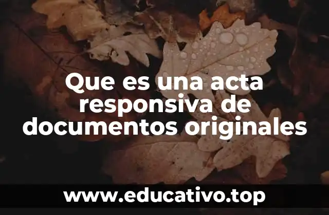 Que es una acta responsiva de documentos originales