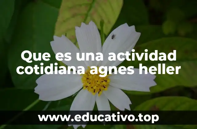 Que es una actividad cotidiana agnes heller