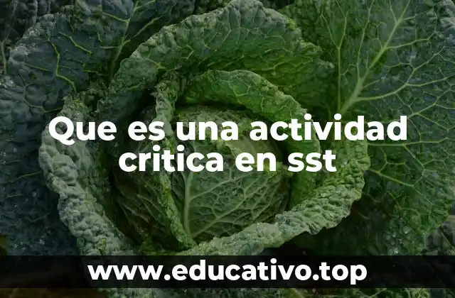 Que es una actividad critica en sst