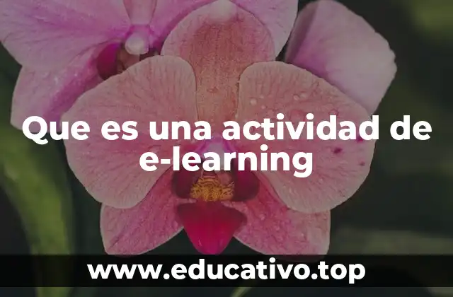 Que es una actividad de e-learning