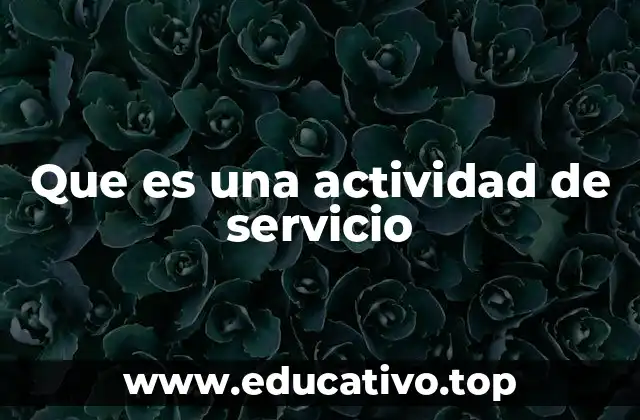 Que es una actividad de servicio