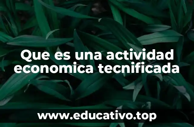 Que es una actividad economica tecnificada