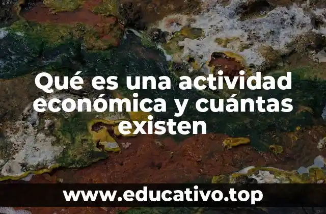Qué es una actividad económica y cuántas existen