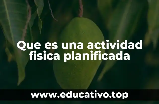 Que es una actividad fisica planificada