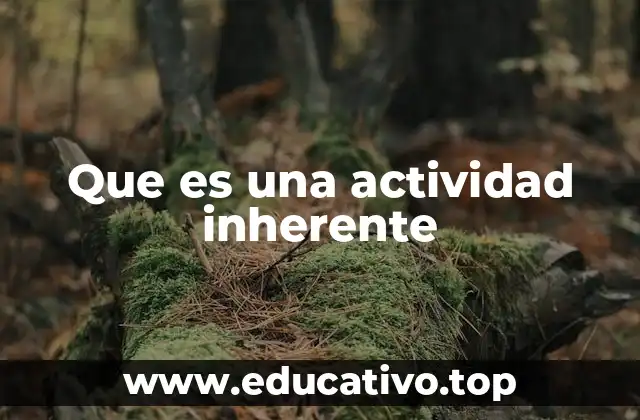 Que es una actividad inherente