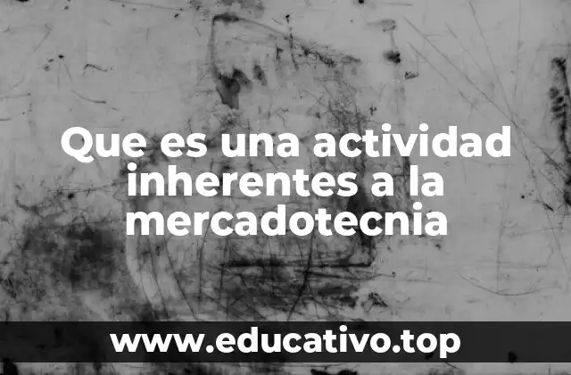 Que es una actividad inherentes a la mercadotecnia