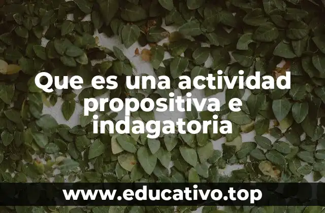 Que es una actividad propositiva e indagatoria