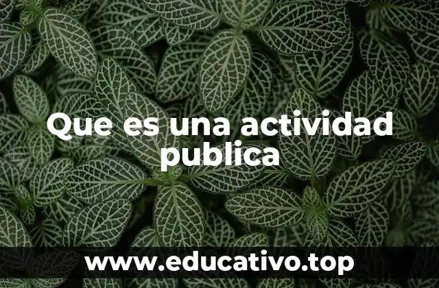 Que es una actividad publica