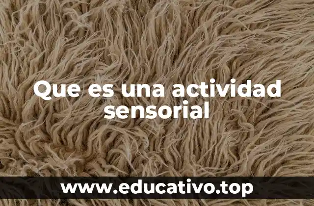 Que es una actividad sensorial