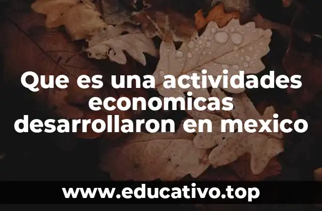 El papel de las actividades económicas en el desarrollo nacional