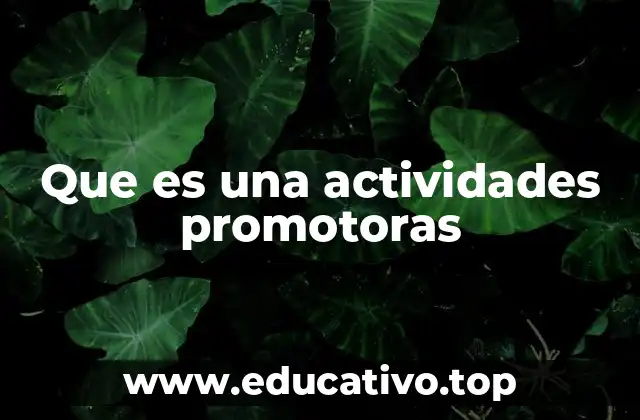 Que es una actividades promotoras