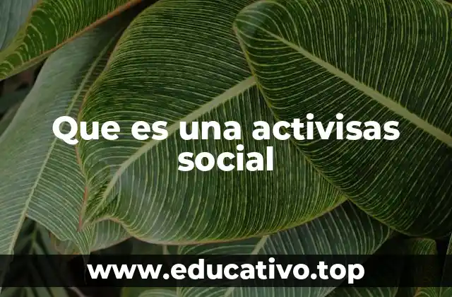 Que es una activisas social