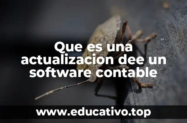 Que es una actualizacion dee un software contable