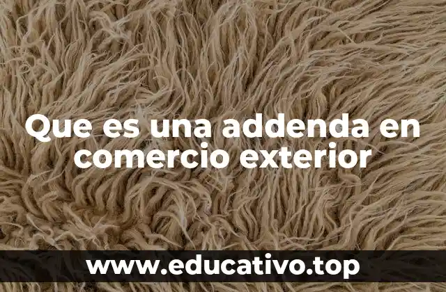 La importancia de los documentos complementarios en el comercio internacional