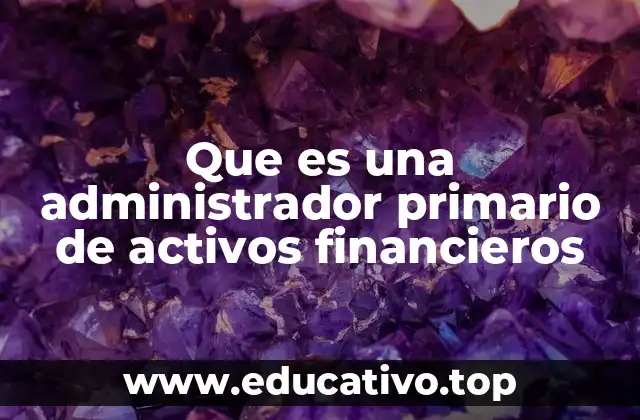 Que es una administrador primario de activos financieros