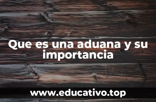 Que es una aduana y su importancia