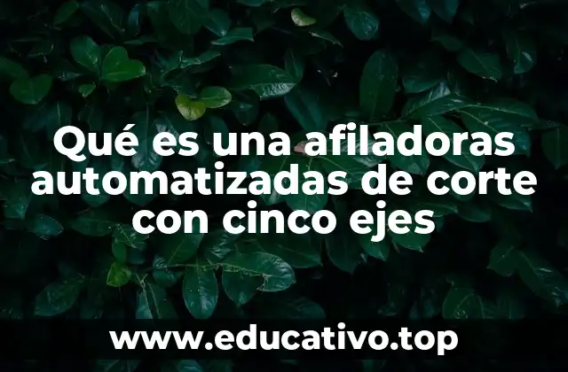 El funcionamiento de las máquinas de afilado de alta precisión