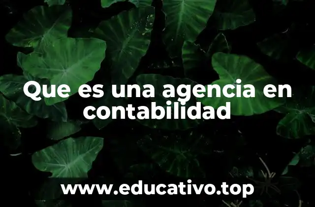 Que es una agencia en contabilidad