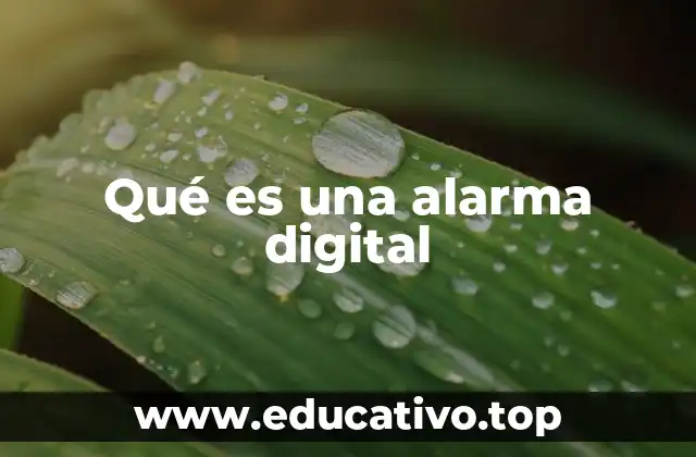 Qué es una alarma digital