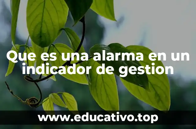 Que es una alarma en un indicador de gestion
