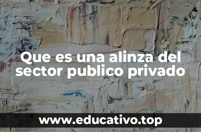 Que es una alinza del sector publico privado