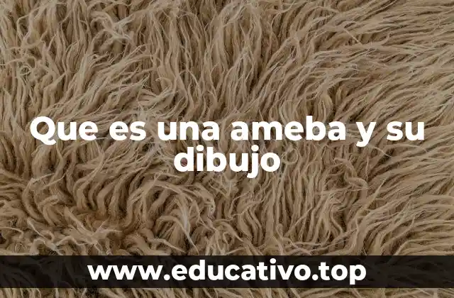 Que es una ameba y su dibujo