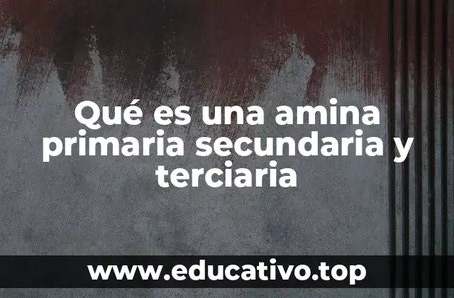 Qué es una amina primaria secundaria y terciaria