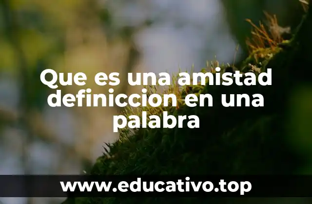 Que es una amistad definiccion en una palabra