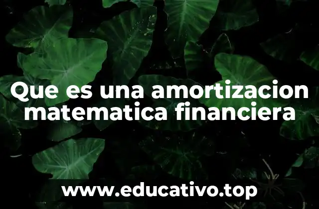 Que es una amortizacion matematica financiera