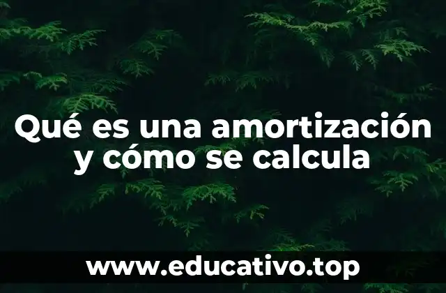 Qué es una amortización y cómo se calcula