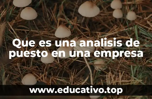 Que es una analisis de puesto en una empresa