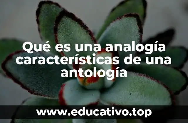 Qué es una analogía características de una antología