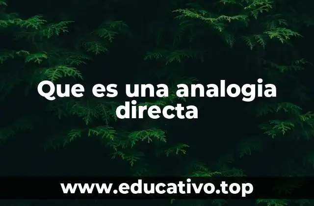 Que es una analogia directa