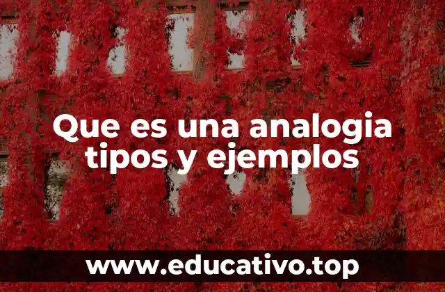 Que es una analogia tipos y ejemplos