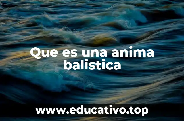 Que es una anima balistica