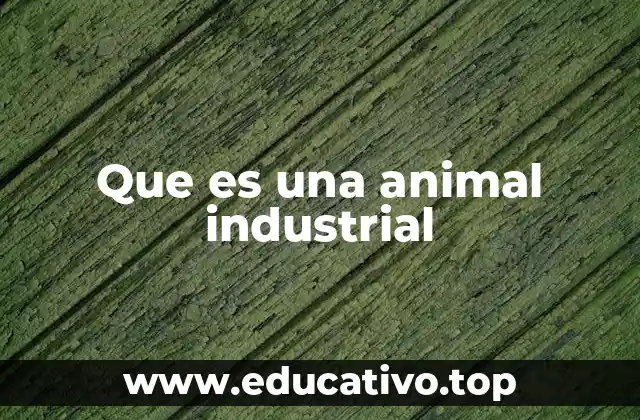 Que es una animal industrial