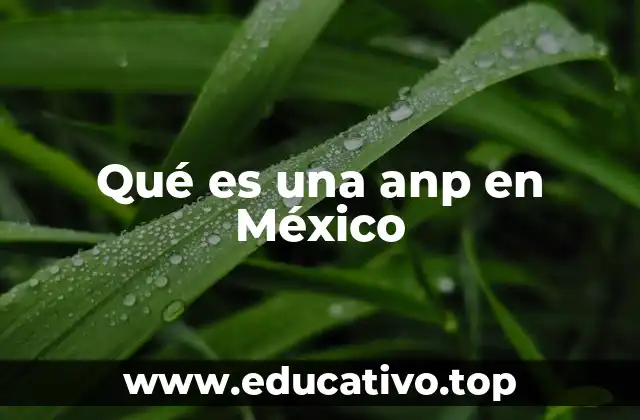 Qué es una anp en México