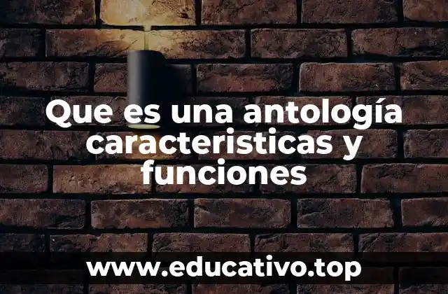 Que es una antología caracteristicas y funciones