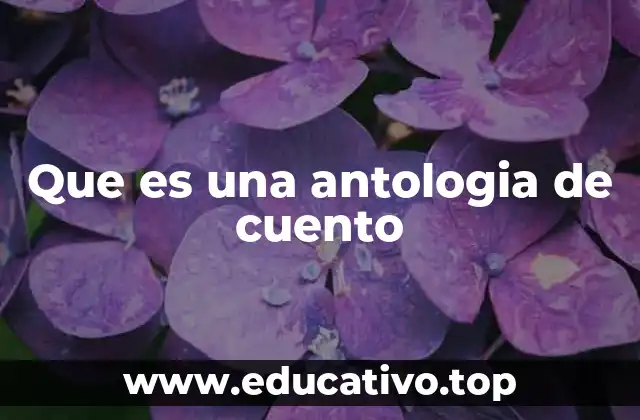Que es una antologia de cuento