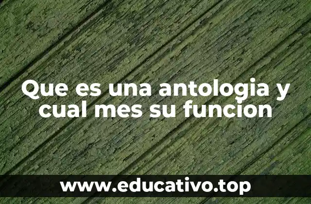 Que es una antologia y cual mes su funcion