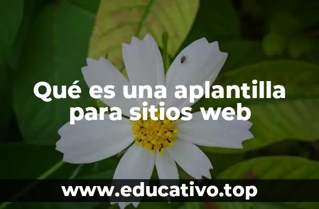 Cómo las aplantillas optimizan el desarrollo web