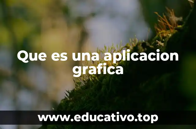 Que es una aplicacion grafica