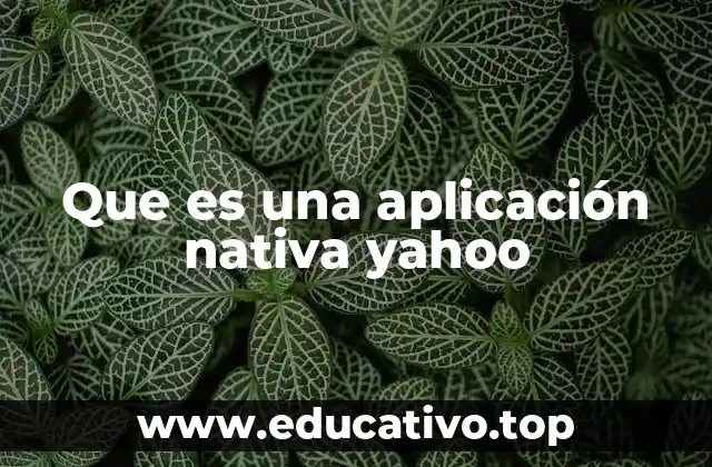 Que es una aplicación nativa yahoo