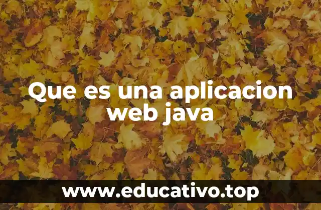 Que es una aplicacion web java
